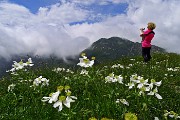 Baita e Monte Golla ad anello da Gorno il 18 giugno 2015 - FOTOGALLERY